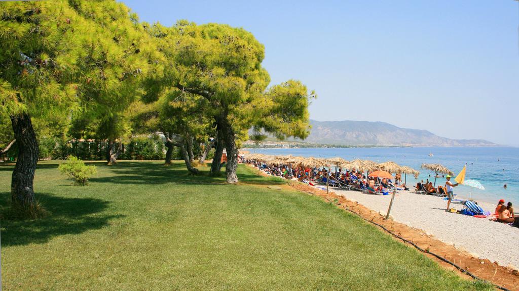 Siagas Beach Hotel Агиои Теодорои Экстерьер фото