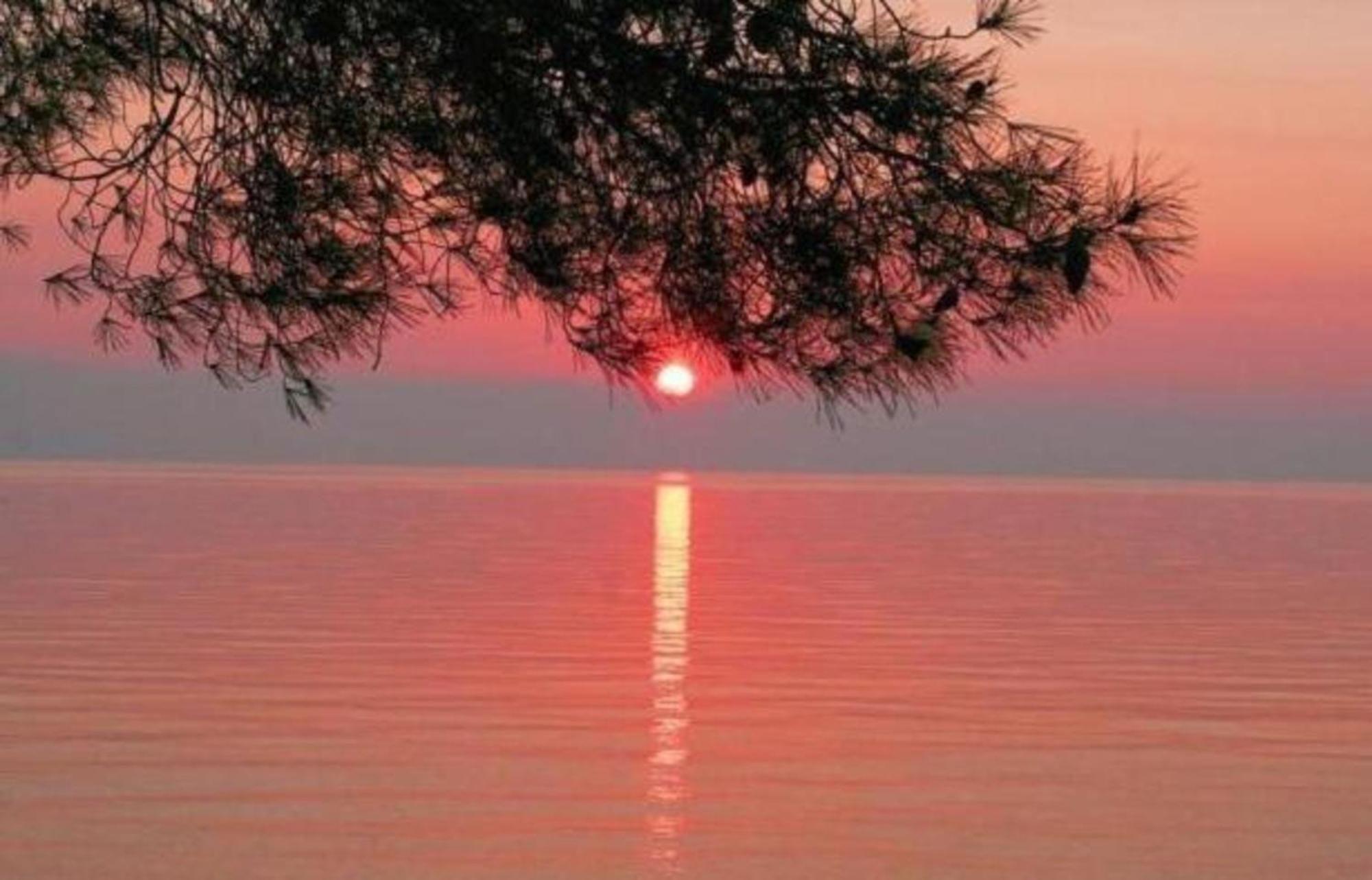 Siagas Beach Hotel Агиои Теодорои Экстерьер фото