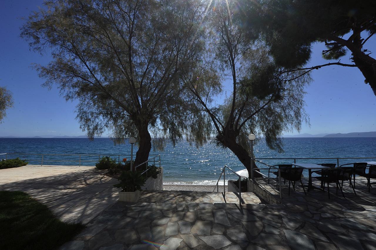 Siagas Beach Hotel Агиои Теодорои Экстерьер фото